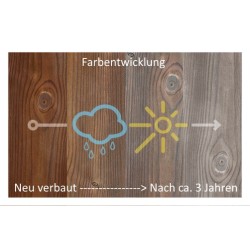 Kebony Character Terrassendiele TSS 28x120x4800