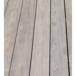 Accoya Color Grey Terrassendiele TSK 142x25x4800